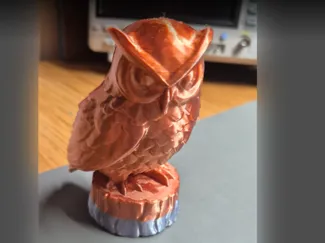 Cute Owl