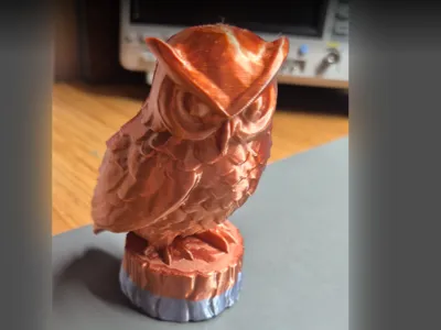 Cute Owl