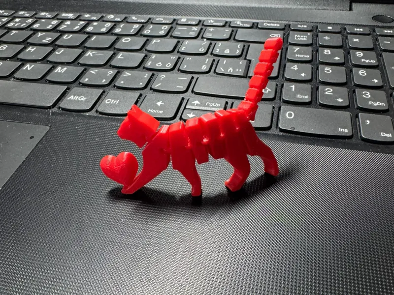 flexi cat with heart