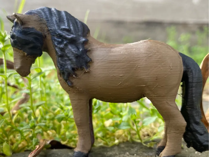 Icelandic pony