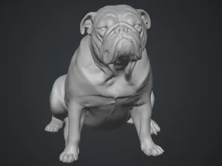 Bulldog