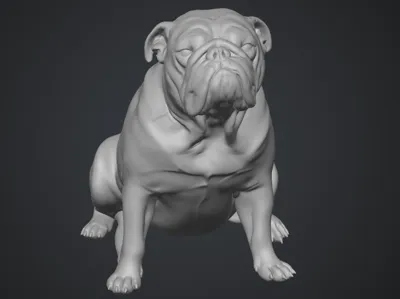 Bulldog