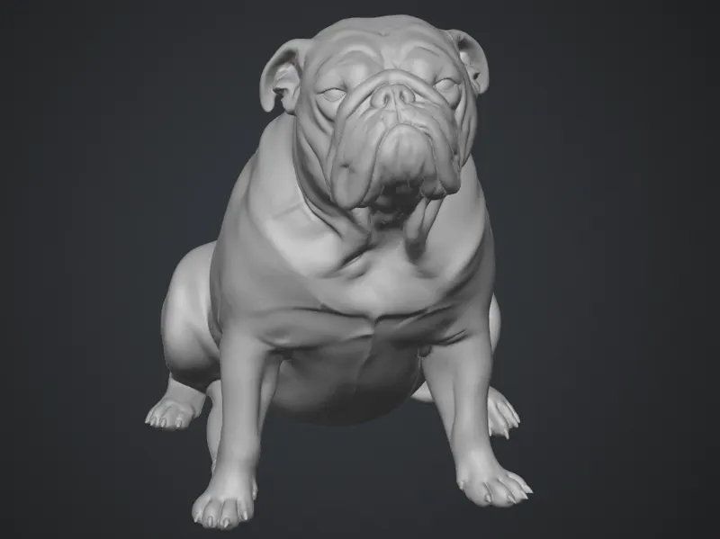 Bulldog