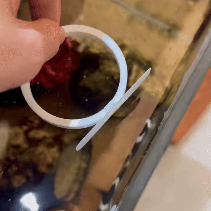 一体打印自动吸附喂食圈 
