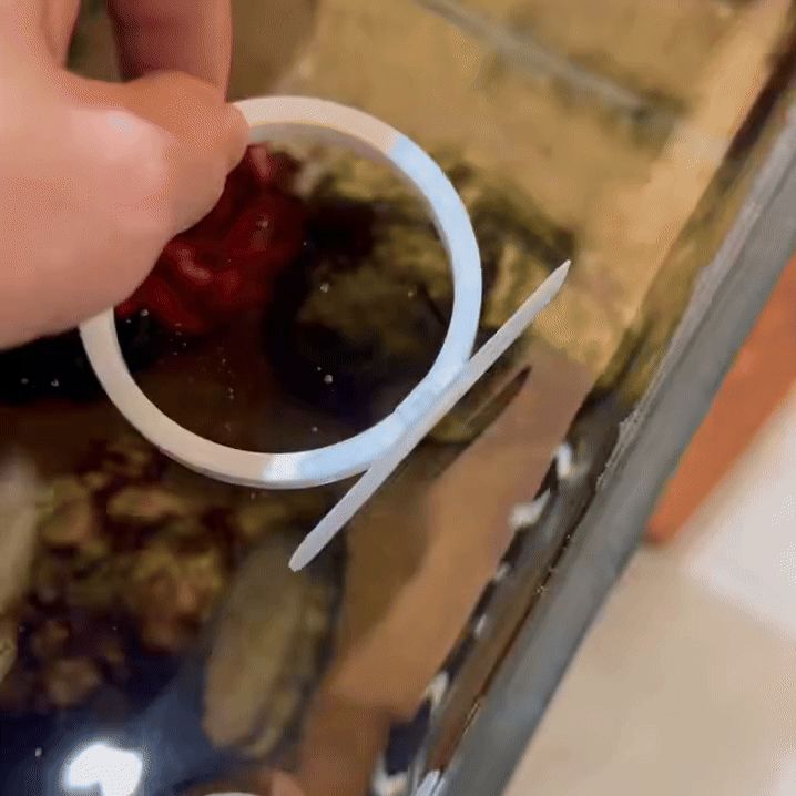 一体打印自动吸附喂食圈 