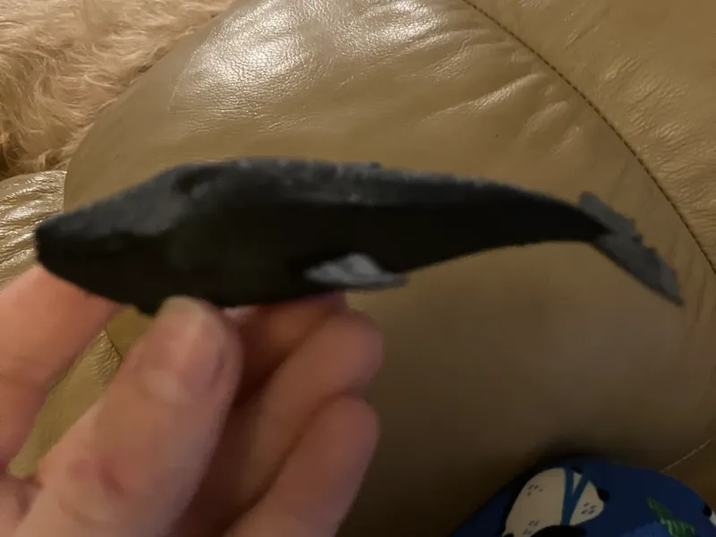 Mini whale