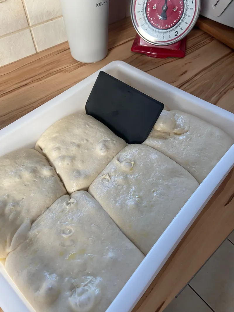 dough scraper / Teihgschaber