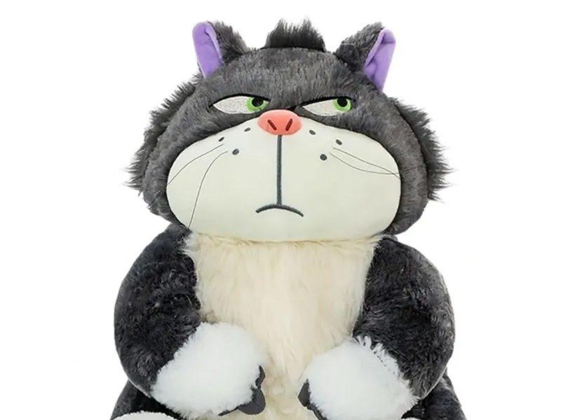 gato gruñon 