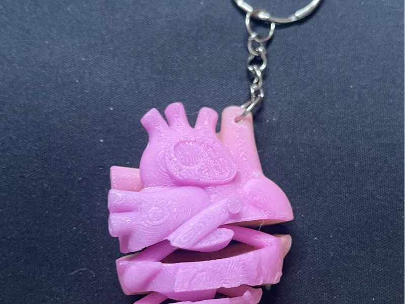 flexi robotic heart