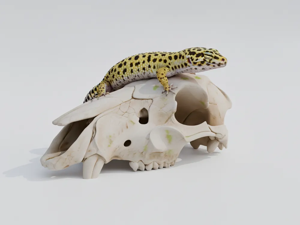 Degraded Animal Skull | Ancient Desert Environment - Free 3D Print ...
