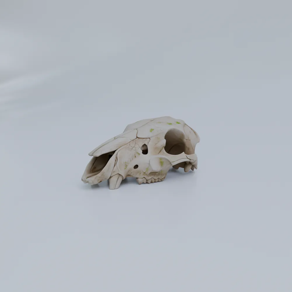Degraded Animal Skull | Ancient Desert Environment - Free 3D Print ...