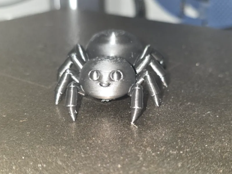Black spider