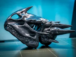 dragon skull head