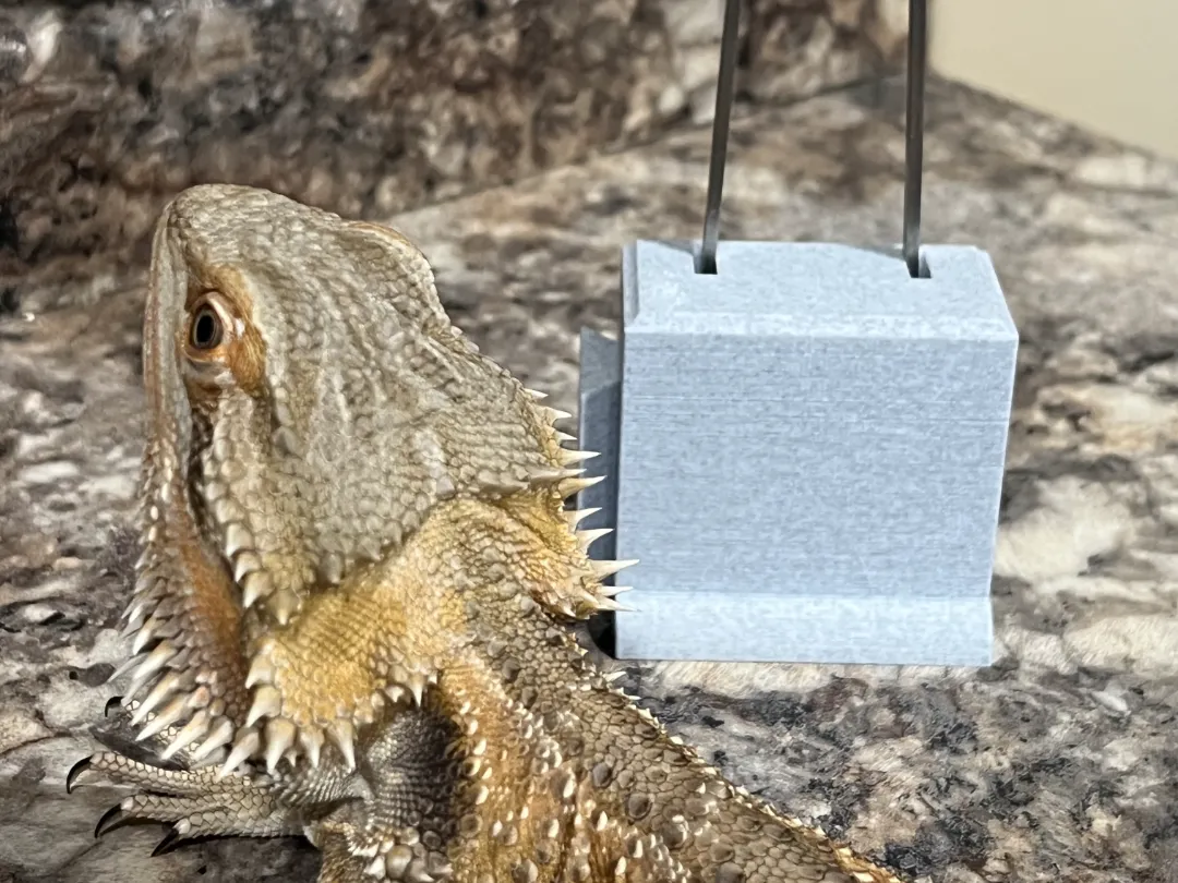 Lizard Tong Stand Single - Free 3D Print Model - MakerWorld