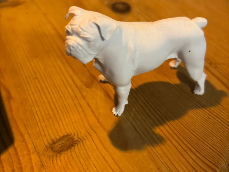 Old-English-Bulldogge