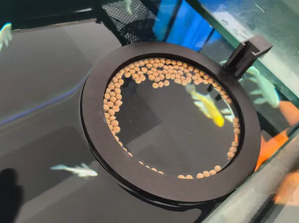 https://makerworld.bblmw.com/makerworld/model/DSM00000002343367/design/11d4065653d38718.jpg