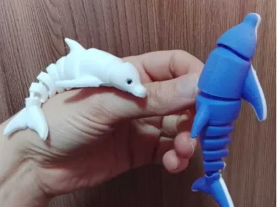 flexi dolphin