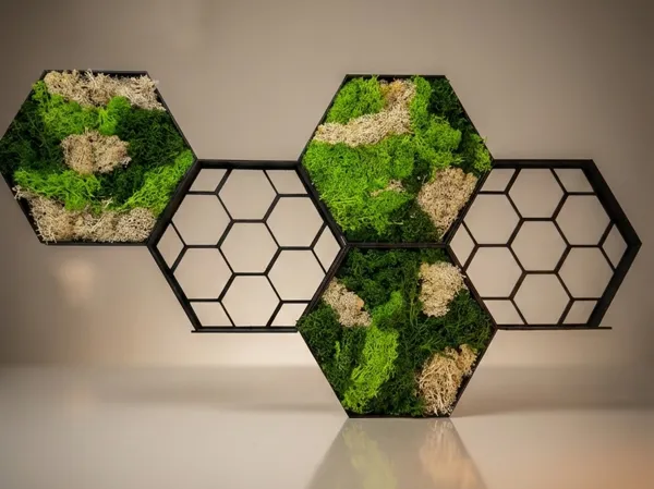 https://makerworld.bblmw.com/makerworld/model/DSM00000002343417/design/70270ff7d2f9f4e8.png