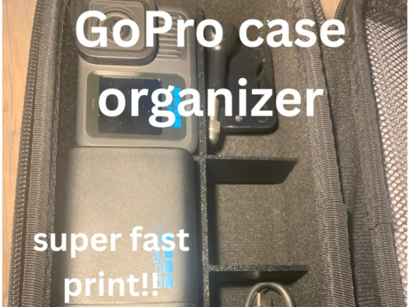 GoPro case organizer