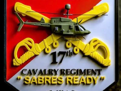2nd of the 17th cav reg