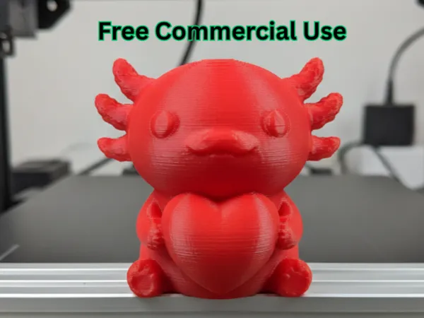 https://makerworld.bblmw.com/makerworld/model/DSM00000002347983/design/62b846f7247b8622.png