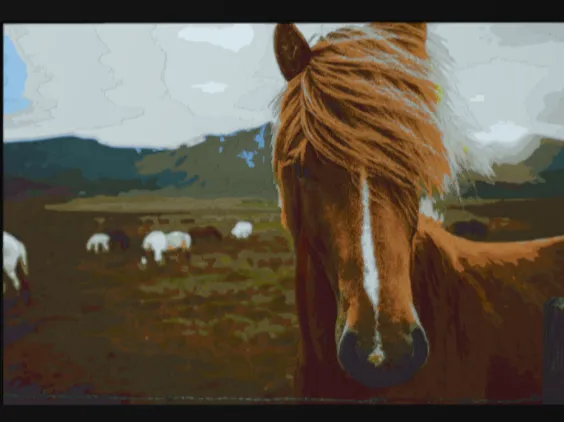horse