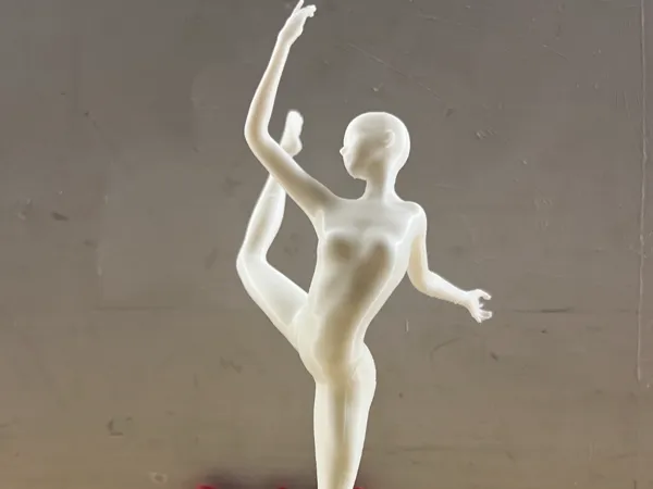https://makerworld.bblmw.com/makerworld/model/DSM00000002348684/design/960274ef8c058041.jpg