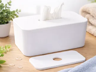 Feuchttuchbox (Moist Wipe Dispenser) 