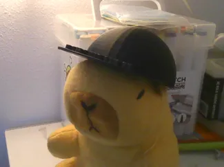 gorra capibara