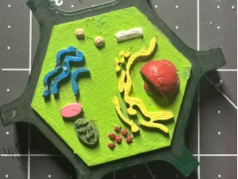 plant cell