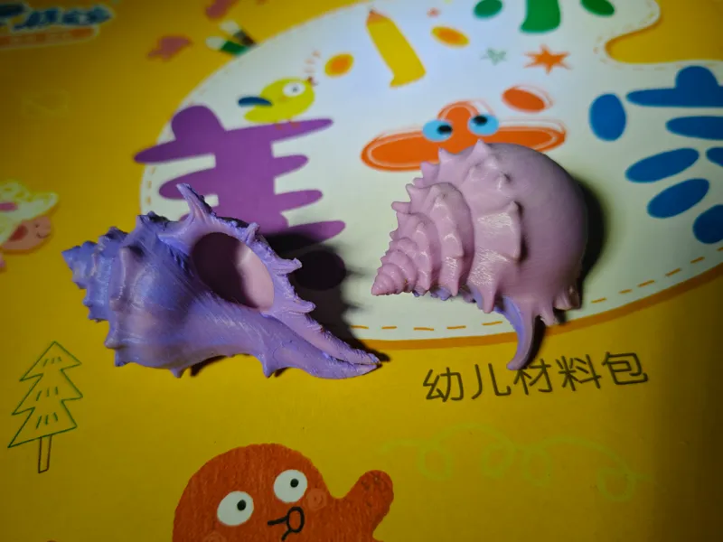 海螺贝壳