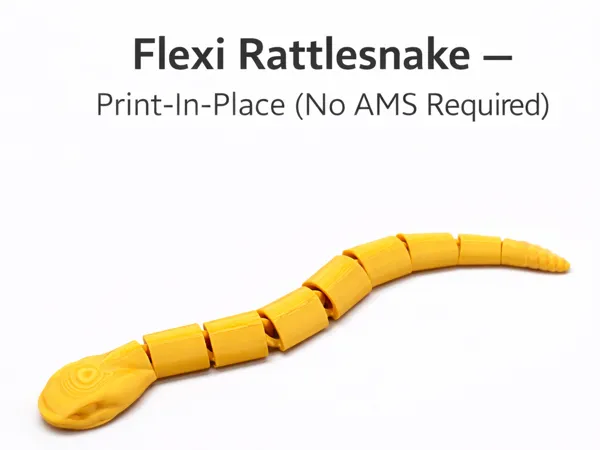 https://makerworld.bblmw.com/makerworld/model/DSM00000002352294/design/f8f1c350846bc5b5.png