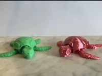 Tortue articulée — photo 1