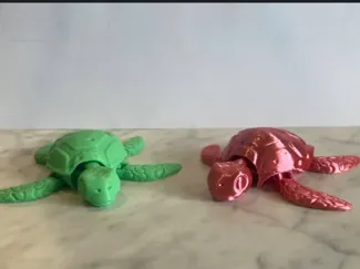 Articulated turtle 