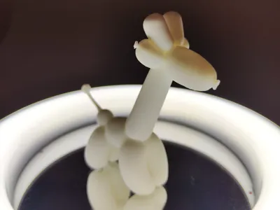 BALLOON GIRAFFE