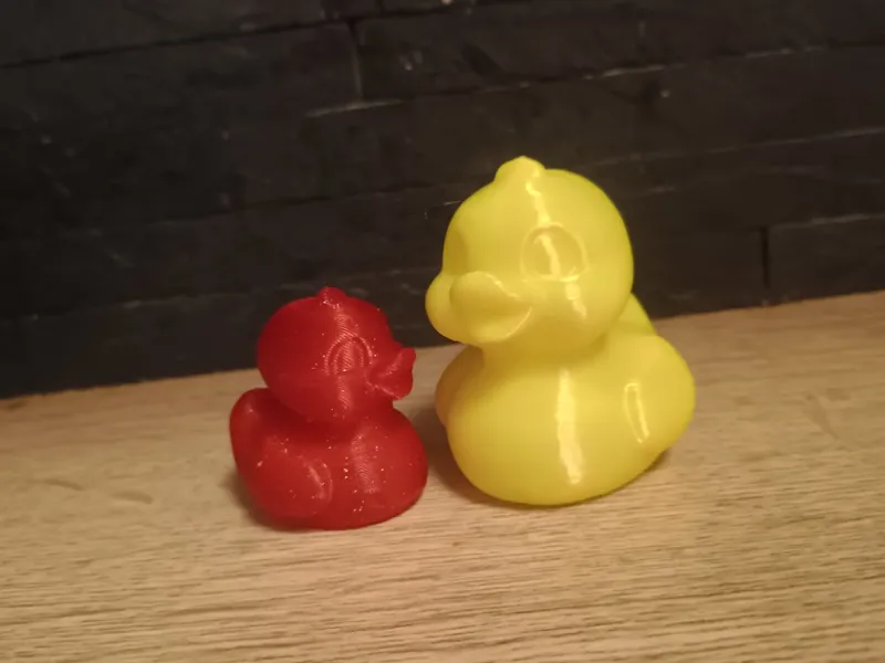 Duck in the bathtub
