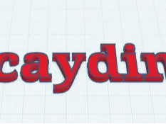 caydin