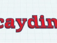 caydin