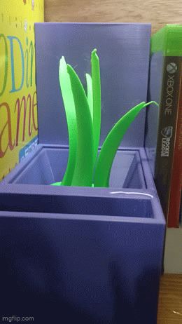 Self watering plant pot book nook