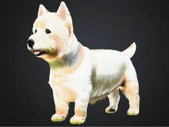 Terrier