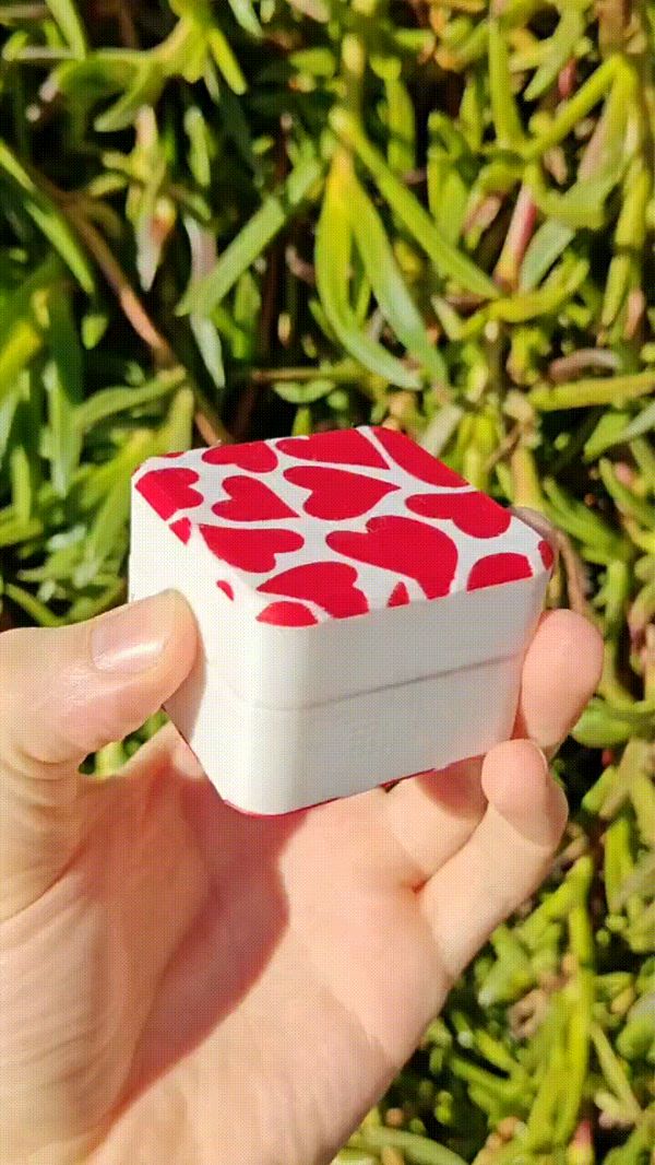 https://makerworld.bblmw.com/makerworld/model/DSM00000002357964/design/9aab90acc7f91a88.gif