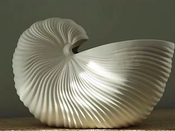 https://makerworld.bblmw.com/makerworld/model/DSM00000002358737/design/82214aa20482db02.jpeg