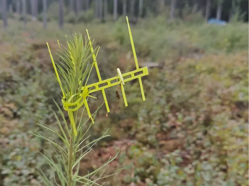 Tree protection / Plantskydd
