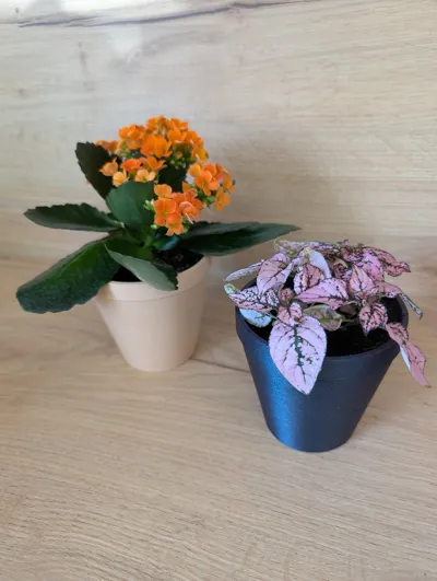 Minimalist Geometric Planter – 60x90x90 mm