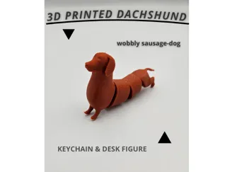 Sausage dog