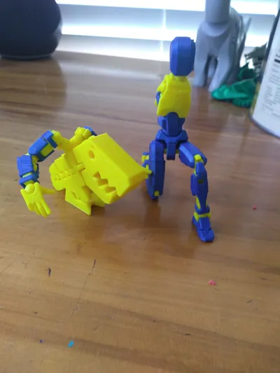 dummy 13 flexier rex