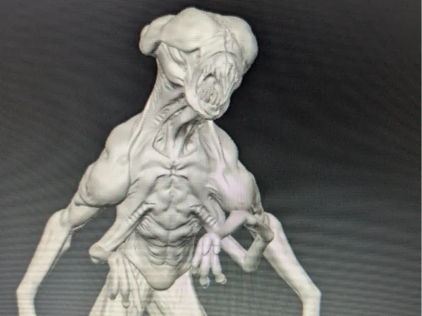 https://makerworld.bblmw.com/makerworld/model/DSM00000002364348/design/0e7dda9ca439f9ac.jpg