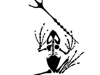 skeleton frog with trident
