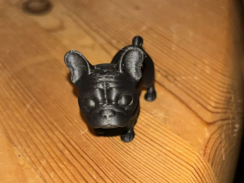Französische Bulldogge