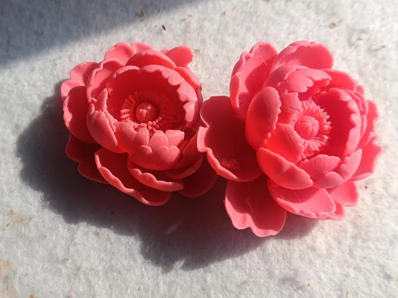芍药花